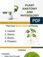 Lesson 4 - Plant Anatomy and Physiology