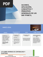 Alcance, Aplicación, Conceptos y Principios Generales de Las Niif Pyme's