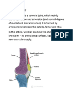 Lec 14 THE KNEE JOINT