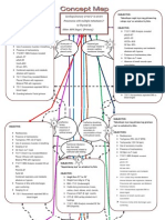 Concept Map