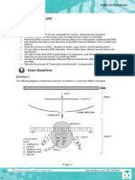 LXER - Gr12LifeSciences - DNA The Code of Life - Nov2014