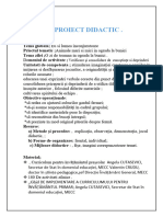 Proiect Didactic 5