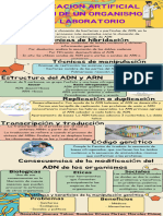 Colorful Illustrative DNA Day Science Educational Infographic - 20231204 - 095946 - 0000