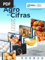 El Agro en Cifras - 2021