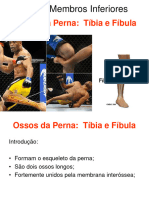 2 Tíbia e Fíbula - EAD PDF