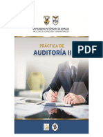 Practica de Auditoria