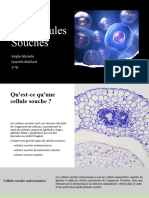 Cellules Souches - Enseignement Scientifique-1ere