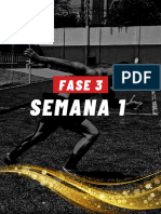 (Fase 3 Semana 1)