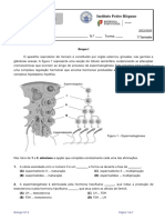 Ficha Formativa 1