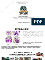 Diapositivas Aida