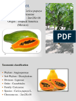 Papaya