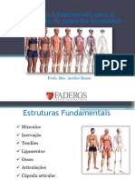 Aula 2 - Estruturas Fundamentais Do Aparelho Locomotor