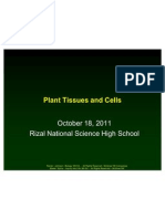 Plant Tissues