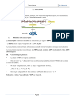 Cours 5 La Transcription