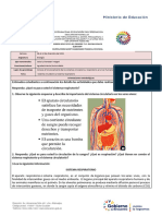 Biología - Curso 2