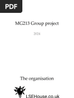 MG213 Introducing Group Project