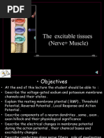 2 & 3-Resting Membrane Potential & Action Potentia