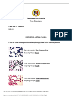 Lab Exercise3 Gram Staining Lykajanetarnate PDF