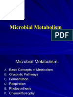 1 Microbial Metabolism and