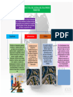 Estructura Medios de Transporte