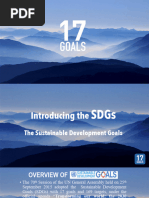 17 SDGs