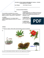 Avaliao Diagnostica