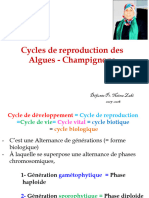 Cycles de Reproduction Algues Champignons