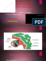 5 - Tercera Semana Del Desarrollo Disco Germinativo Trilaminar