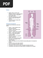 Wuolah Premium ANATOMIA