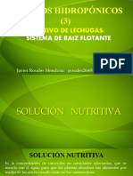 TERCERA PARTE3 Solucion Nutritiva Cultivos Hidropónicos