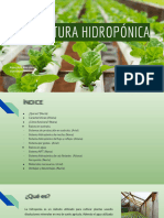 Agricultura Hidropónica