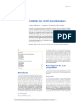 Anatomie Des Cavités Nasosinusiennes