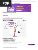 Phylum Coelenterata - Characteristics and Their Classification