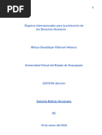 Órganos Internacionales para La Protección de Los Derechos Humanos