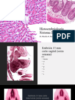 Lab. 12 Histoembriología Sist. Digestivo
