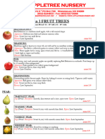 2024 4 in 1 Fruit Trees