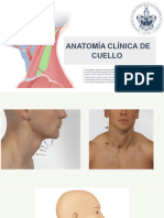 Triangulos Del Cuello