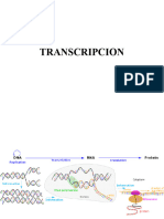 Biologia Molecular 2