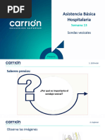 PS13 ET Asistencia Basica Hospitalaria 1