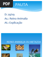 Reino Animalia