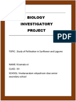 Biology Investigatory Project: TOPIC: Study of Pollination in Sunflower and Legume