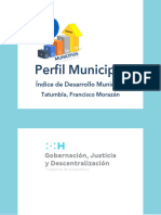 Perfil Municipal Tatumbla 0825