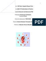 Proceso de Atención de Enfermería PAE: Escuela-CBT - Num1.Agustin Reyes Poce Materia-SUB IV Problematiza La Práctica