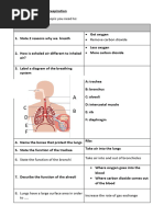 Year 8 Breathing and Respiration