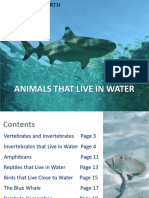 Grade5-Animals That Live in Water (2) 1949254879 1707915349