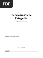 Resignificación Del Campesinado en Pataguilla