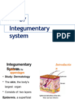 2.2.integumentary System