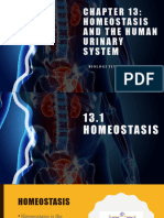 BIOLOGY - F4 - CHAPTER - 13 - Homeostasis and The Human Urinary System