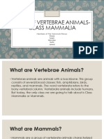 Vertebrae Animals - Mammals Group
