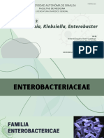 Yersinia, Klebsiella, Enterobacter